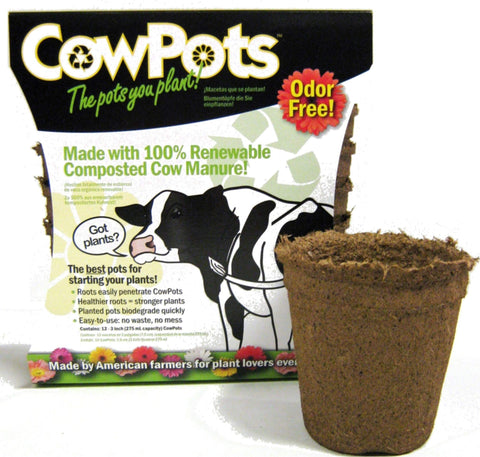CowPots round 3-inch pack visual 1: seed starting with early growth.