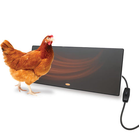 Cozy Coop flat-panel heater mounted on coop wall delivering steady warmth