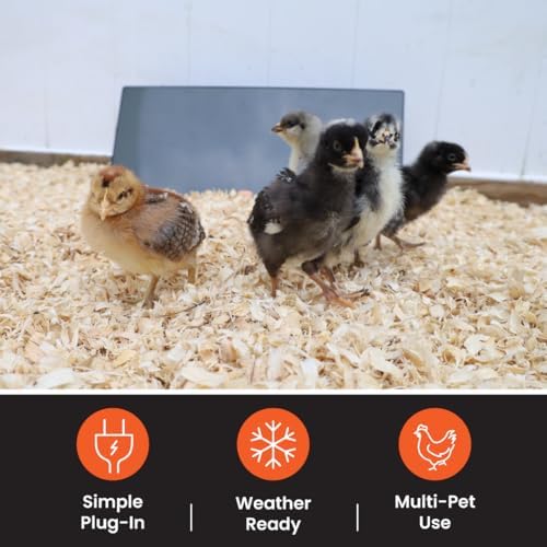 Cozy Coop protected cord design keeps curious beaks safe