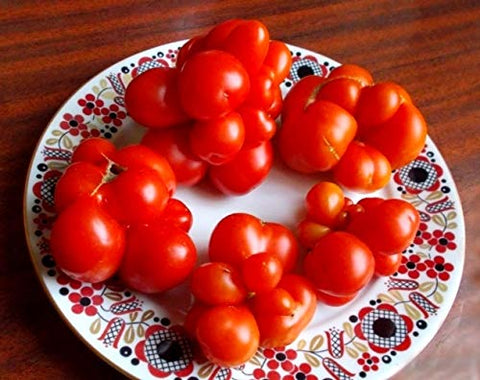 Cozy Crib Reisetomate seeds with approximate counts for planning.