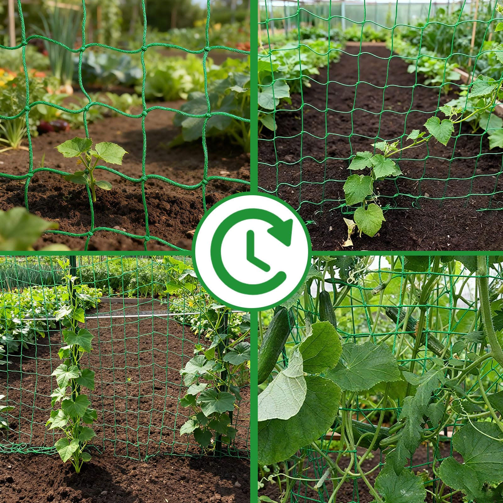 COZYDIG versatile trellis for beans, peas, and flowering climbers.