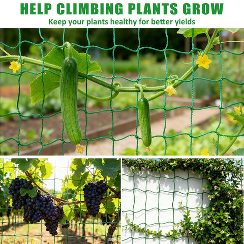 COZYDIG plant support for cucumbers shows strong climbing assistance.