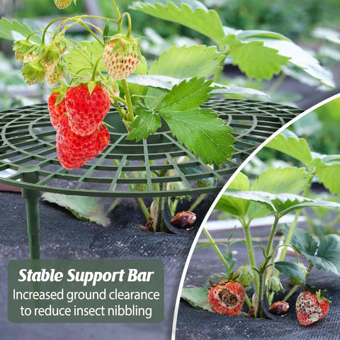 COZYDIG kit supports compact strawberry beds with easy ground insertion