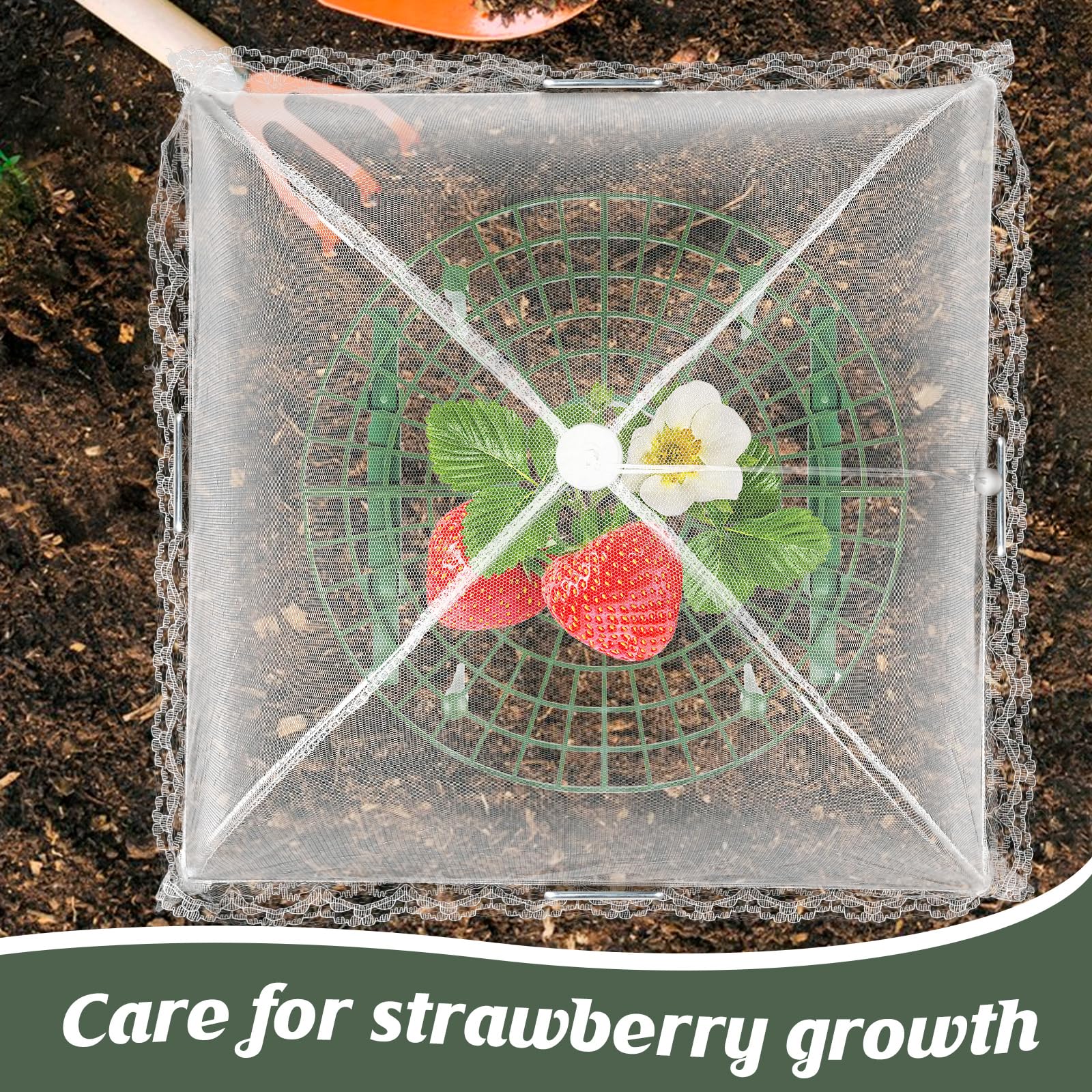 COZYDIG strawberry growing frame assembly shows simple, tool-free setup