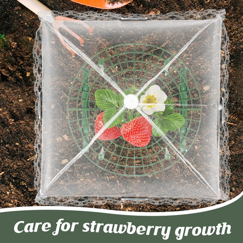 COZYDIG strawberry growing frame assembly shows simple, tool-free setup