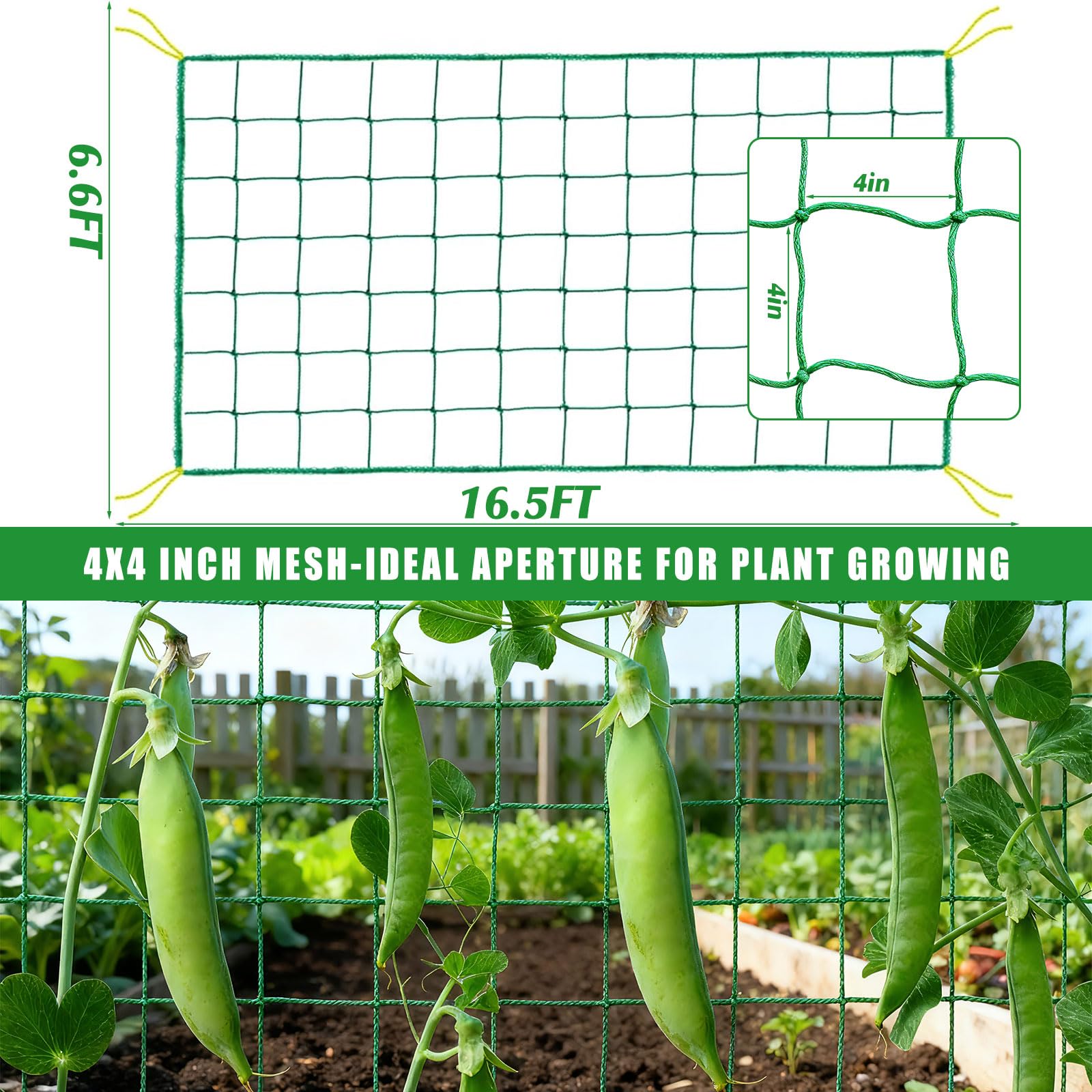 COZYDIG trellis netting with clips secures vines for easy training.