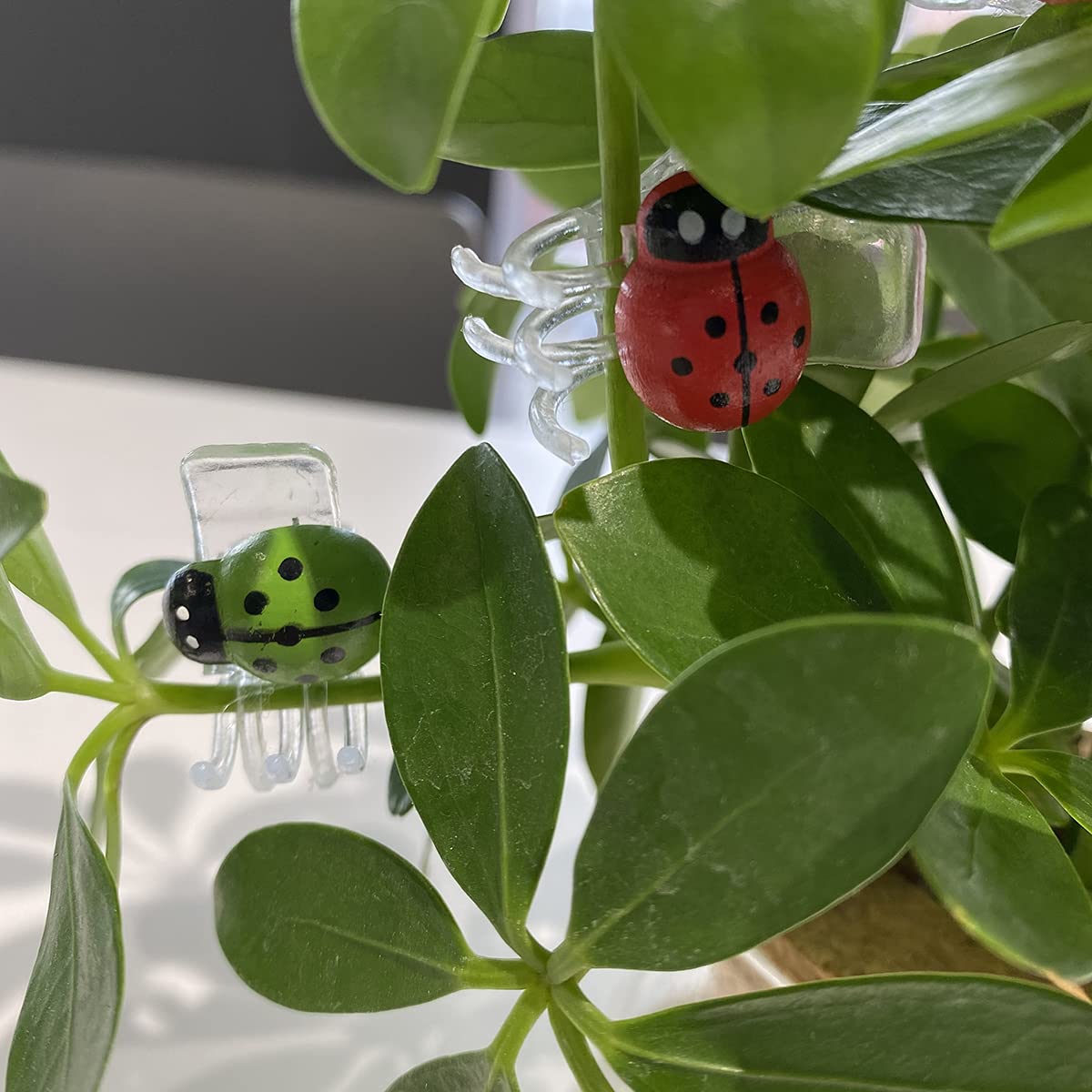 Cozyou adjustable plant clip eases repositioning and staking.