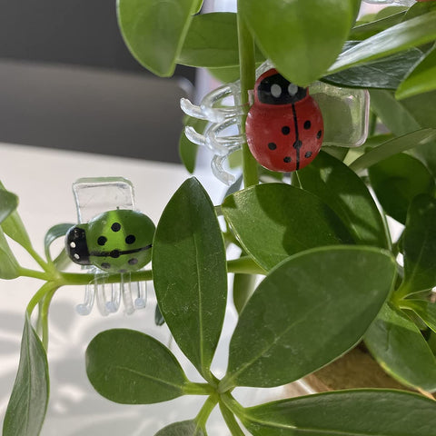 Cozyou adjustable plant clip eases repositioning and staking.