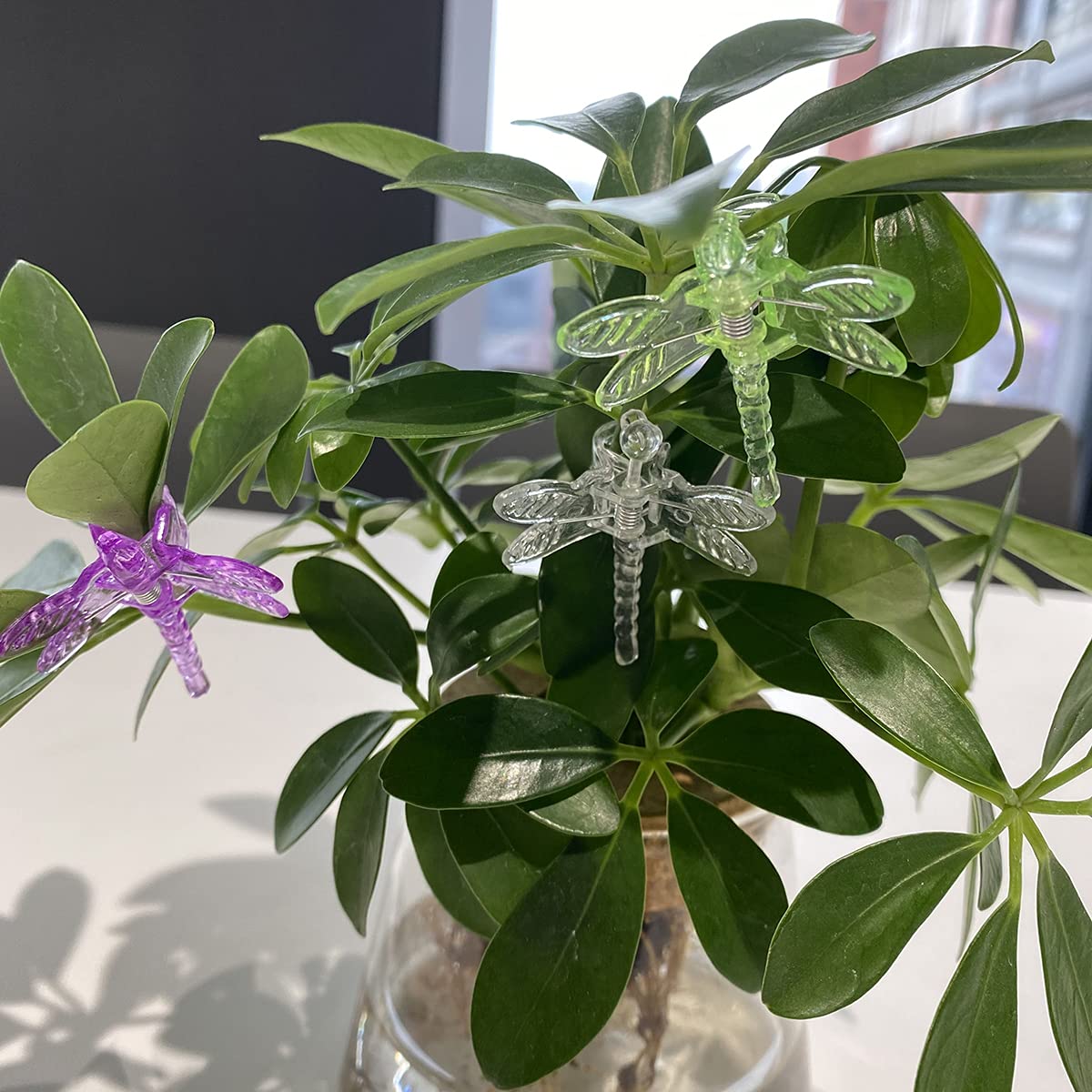 Cozyou dragonfly clip being easily released from a growing stem