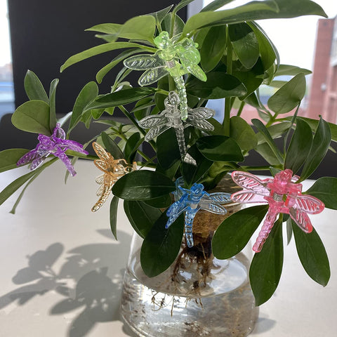 Non-toxic plastic cozyou clips safe around seedlings in a sunny garden