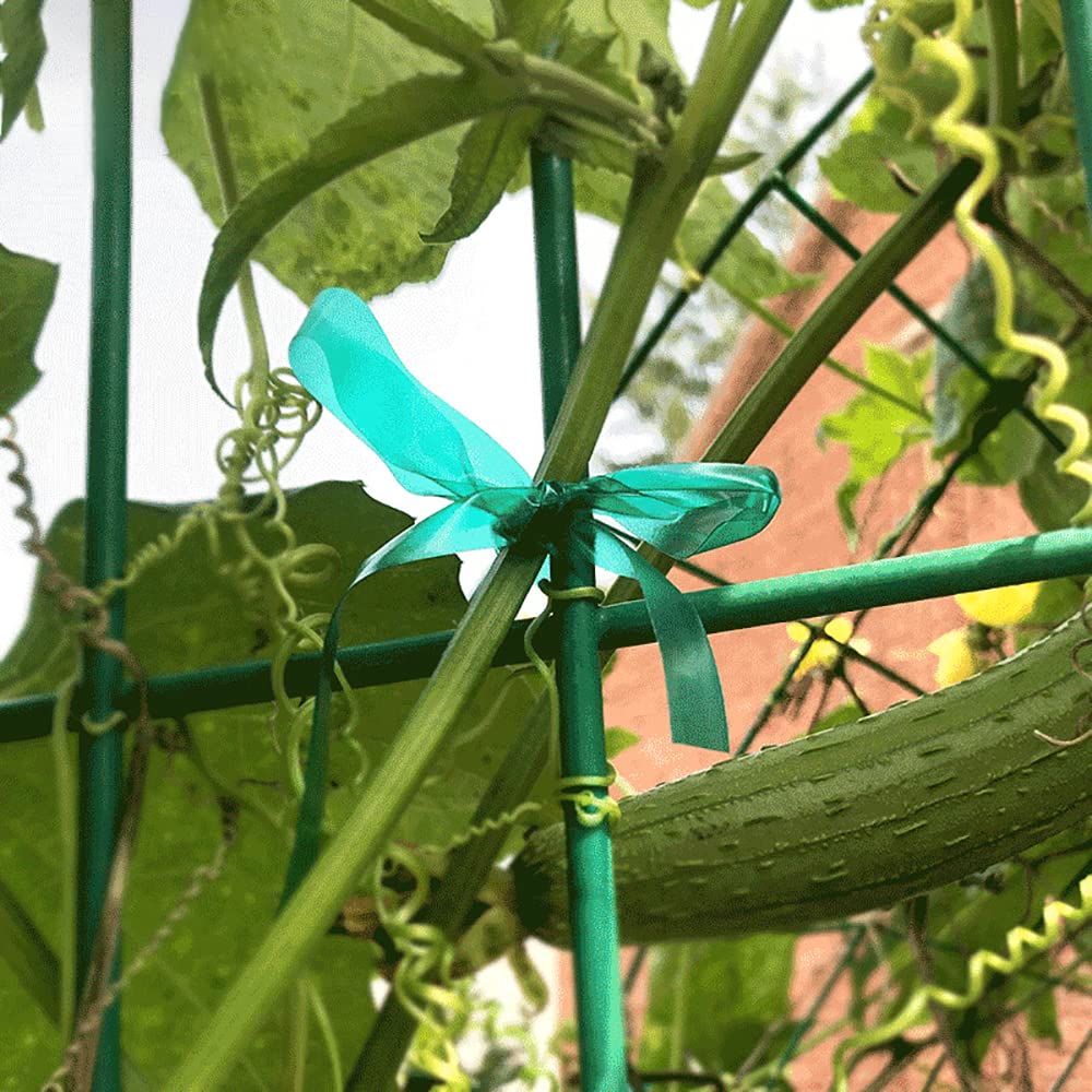 Cozyou flowers and vegetables supported by durable green garden tape