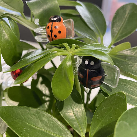 Cozyou stake-clip setup secures young plants to cages.