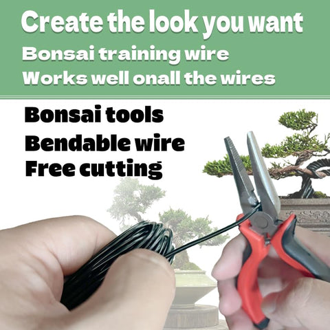 Cpzhlti Bonsai Copper Wire adds flexibility for finishing touches.