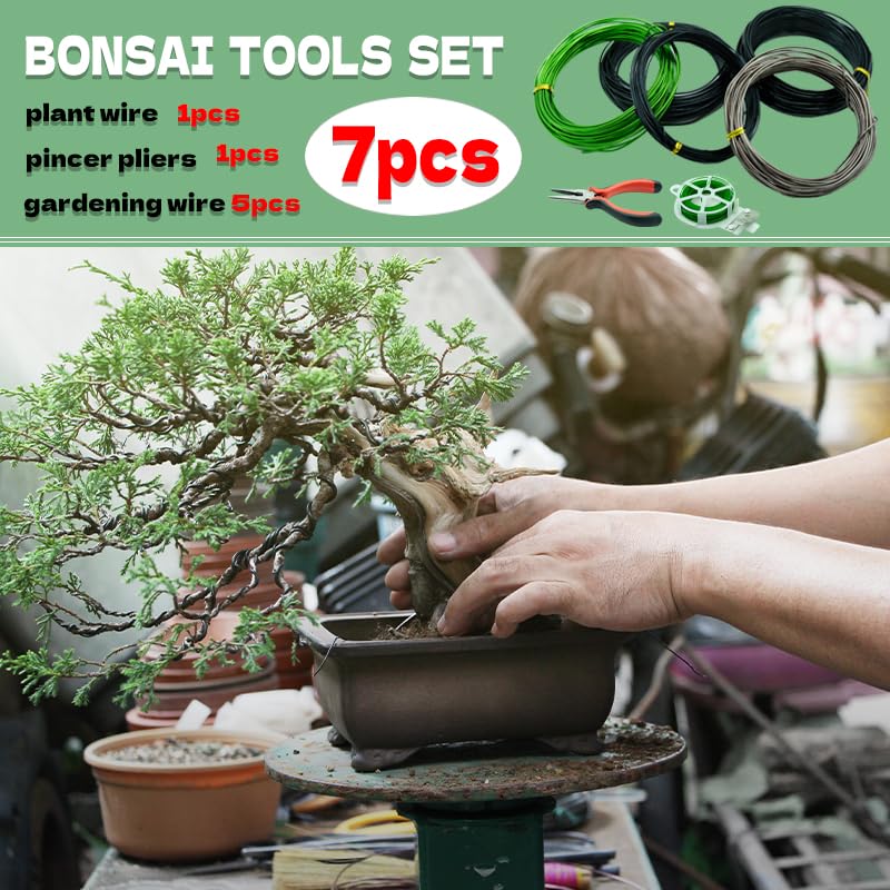Cpzhlti Bonsai Plant Tie Organizer for easy wire storage and access.