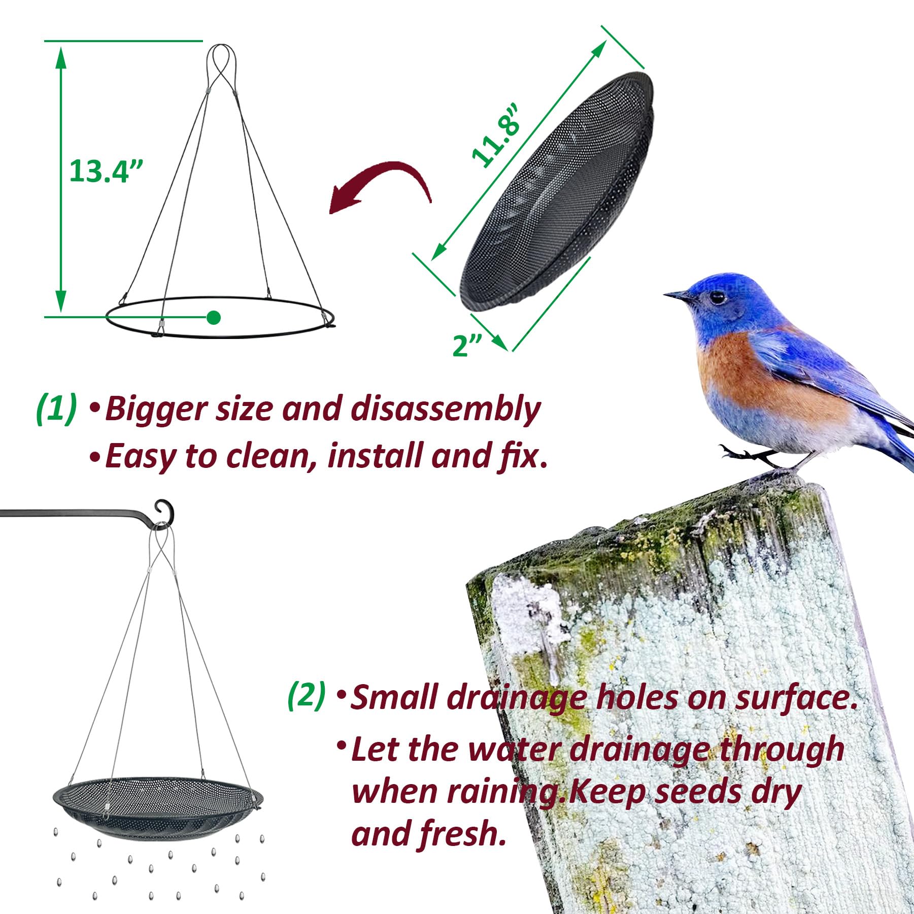 CQAIRIOU stainless steel mesh seed tray offers a durable, rust-resistant feeding surface