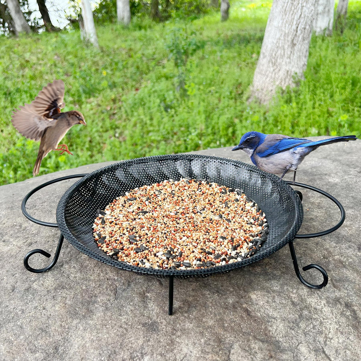 CQAIRIOU upgraded ground platform bird feeder tray, 11.8-inch, attracts wild birds.