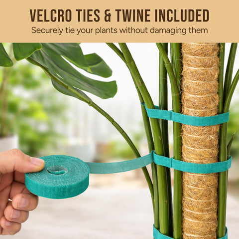 Craft911 coconut fiber coating resembles bark, promoting natural climbing and attachment