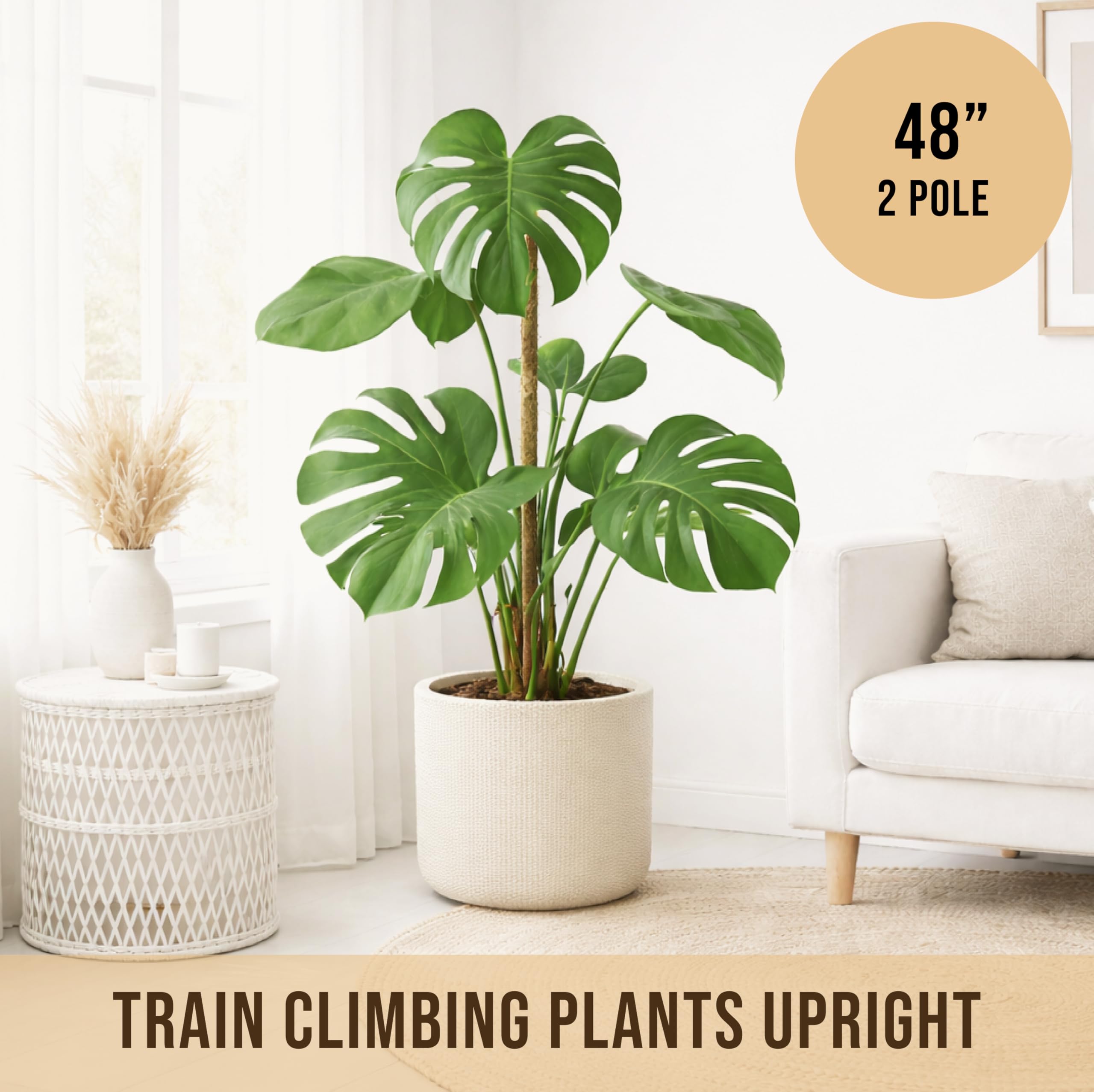 Craft911 dry-use pole stays functional with occasional misting for humidity