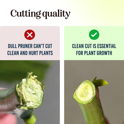 Craft911 dual-size opening hedge clipper ideal for small to thick branches