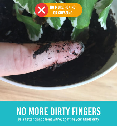 Craft911 GROWIT among houseplants on a shelf for consistent watering