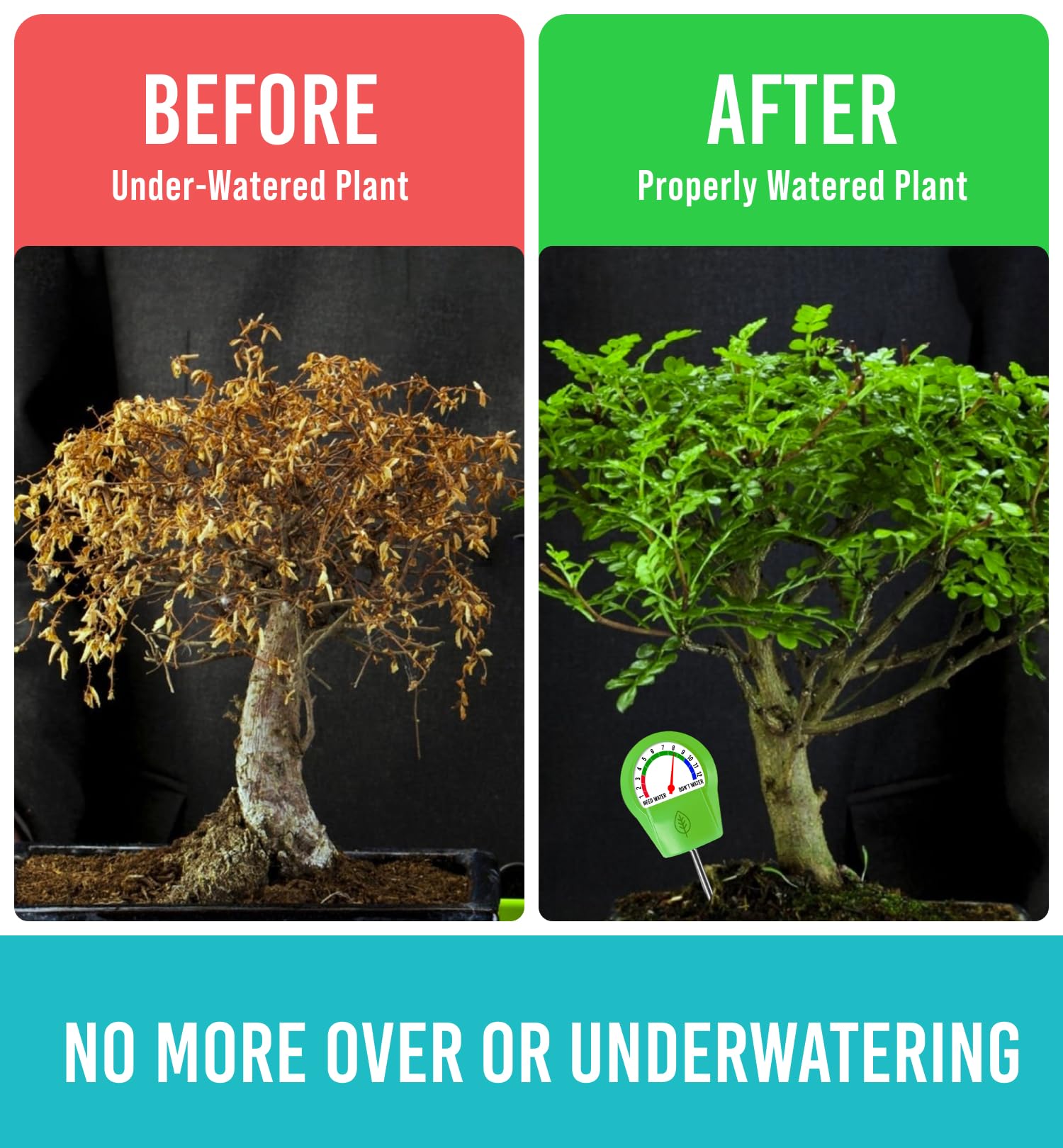 Craft911 GROWIT tips address hydrophobic soil for better watering