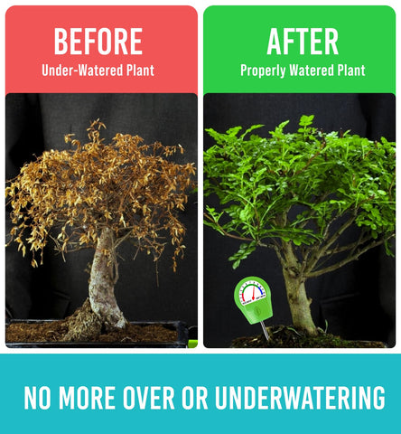 Craft911 GROWIT tips address hydrophobic soil for better watering