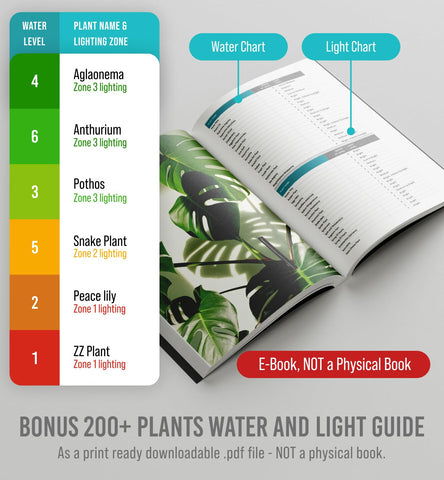 No battery needed with Craft911 GrowIt for simple plant care