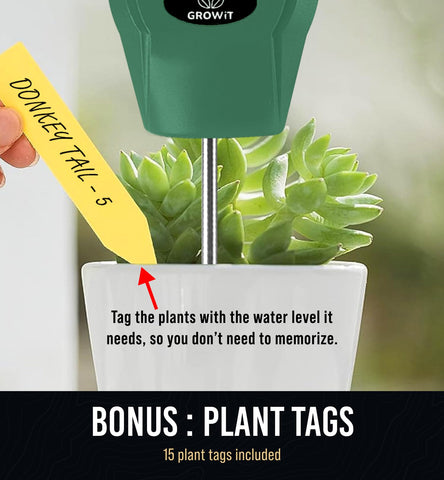 Outdoor garden scene with GROWIT guiding watering decisions