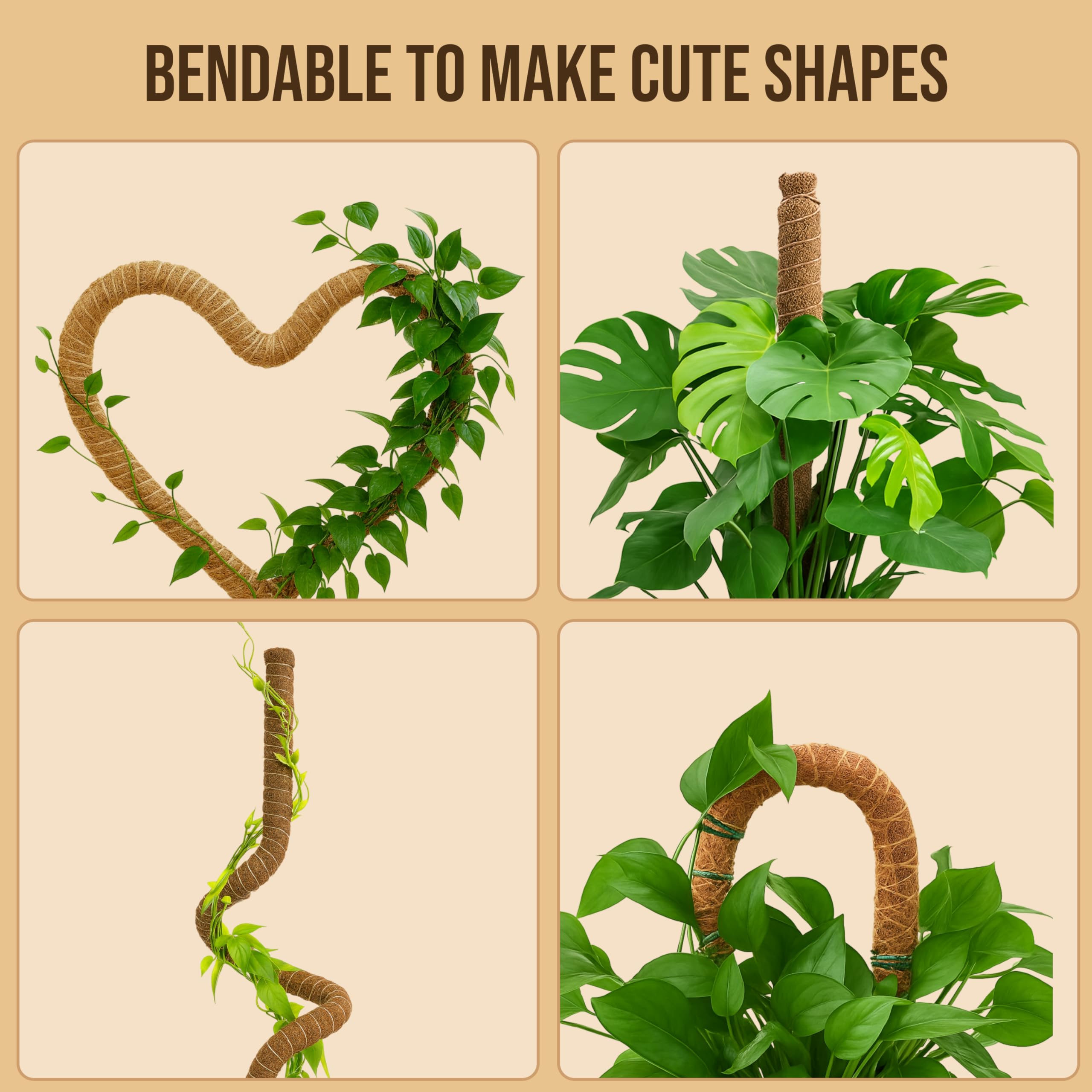 Craft911 indoor plant stake supports tall vines like Monstera and Pothos