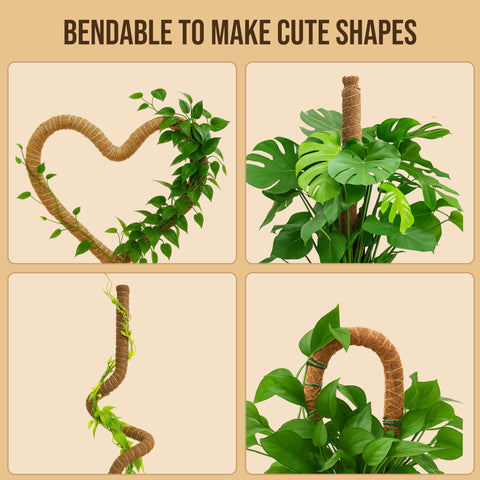 Craft911 indoor plant stake supports tall vines like Monstera and Pothos