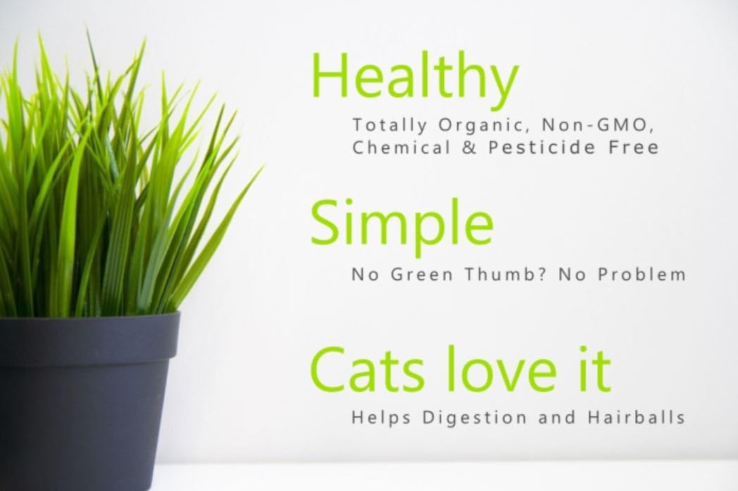 Crafted-Brand Simple Cat Grass Blend Persian cat image hints at hairball-friendly, fiber-rich greens