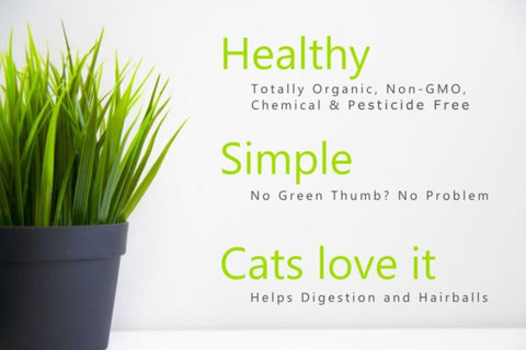 Crafted-Brand Simple Cat Grass Blend Persian cat image hints at hairball-friendly, fiber-rich greens