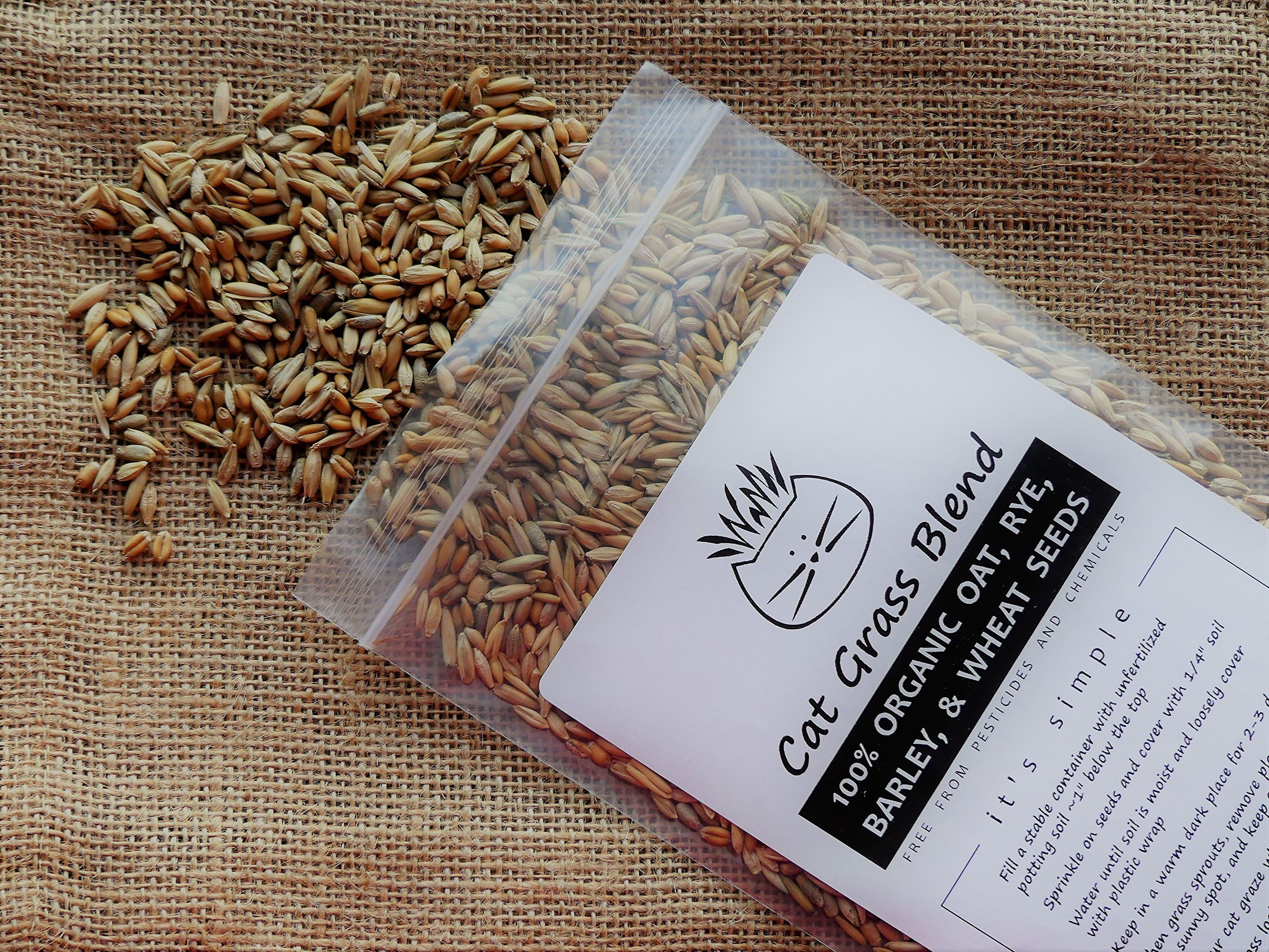 Crafted-Brand Simple Cat Grass Blend Persian Kitten image highlights a natural greens snack supporting digestion