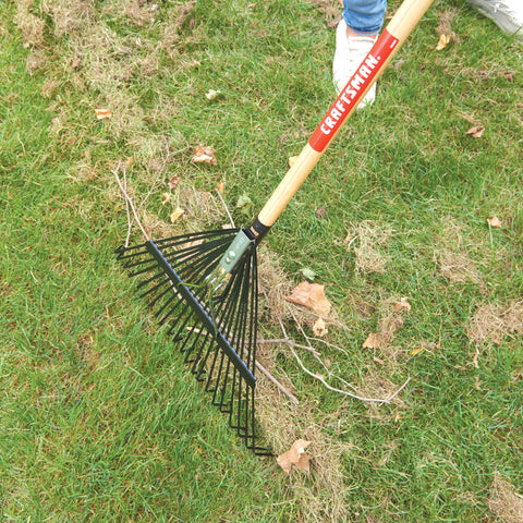 Craftsman 22-tine rake close-up emphasizes spring-backed tines that pull thatch.