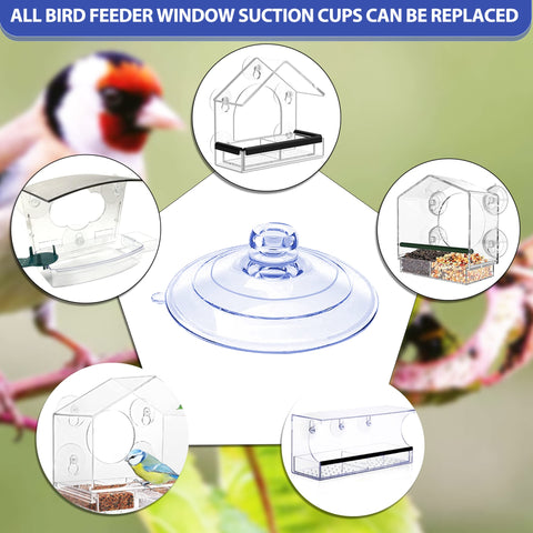 CrayBG window feeder suction cups mounted on glass for stable feeding.
