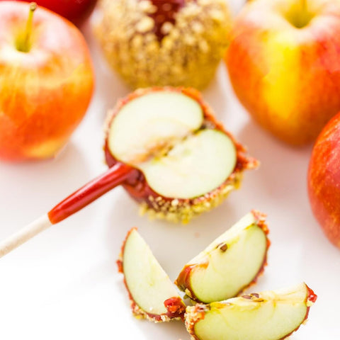 CrazyTerra Lollipop Sticks Semi-Pointed with comfortable handle for pops and crafts.