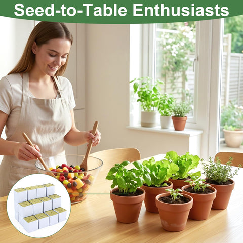 CrazyTerra rockwool cubes being easy to use and pre-cut for propagation.
