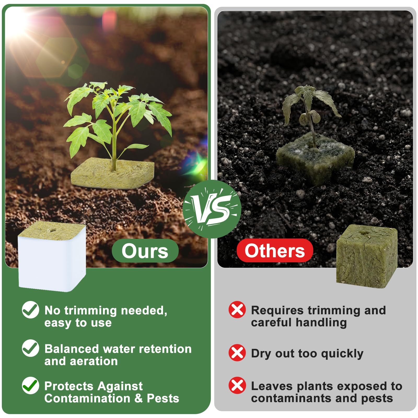 CrazyTerra rockwool cube showing root development and moisture balance.