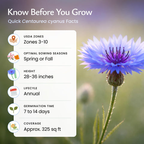 Created By Nature Annual wildflower seeds cover up to 325 sq ft with color.