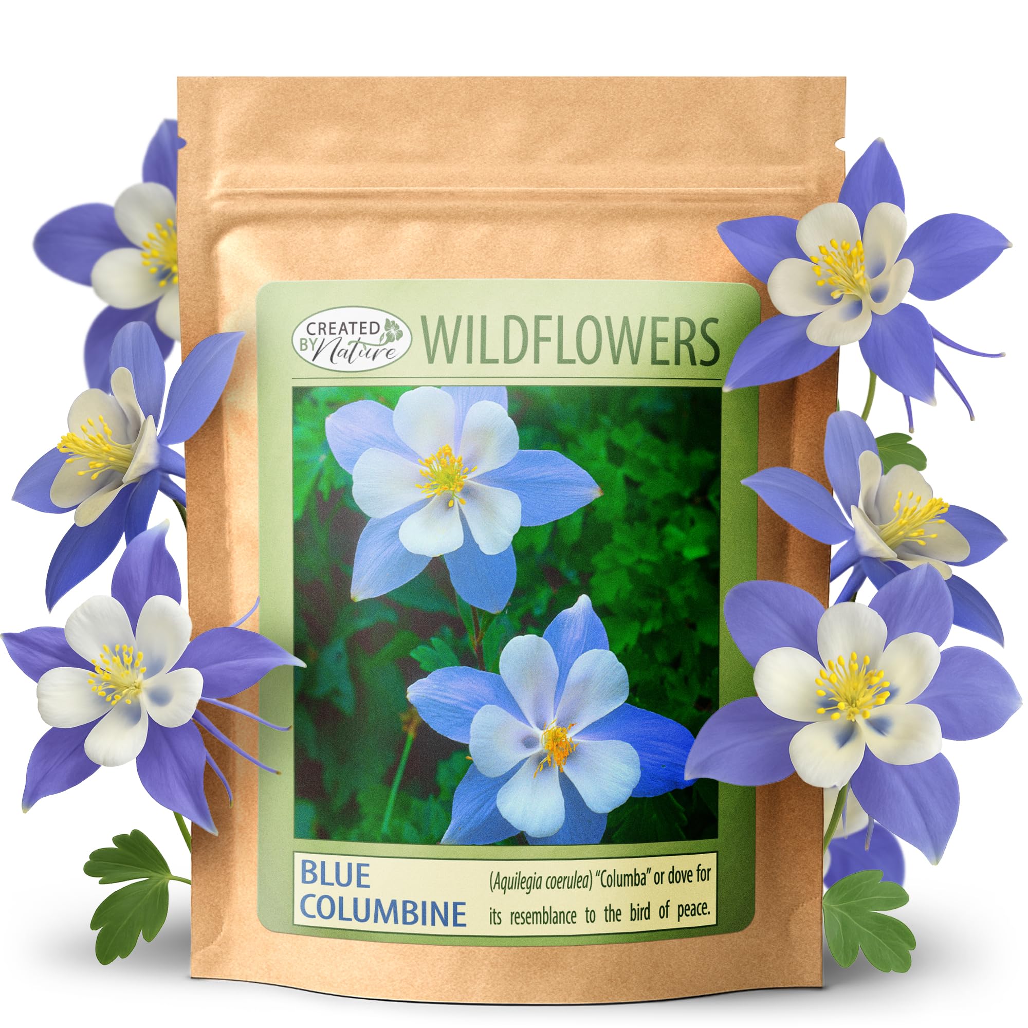 Created By Nature Blue Columbine seeds bloom with blue and white petals, ideal for pollinator-friendly borders.