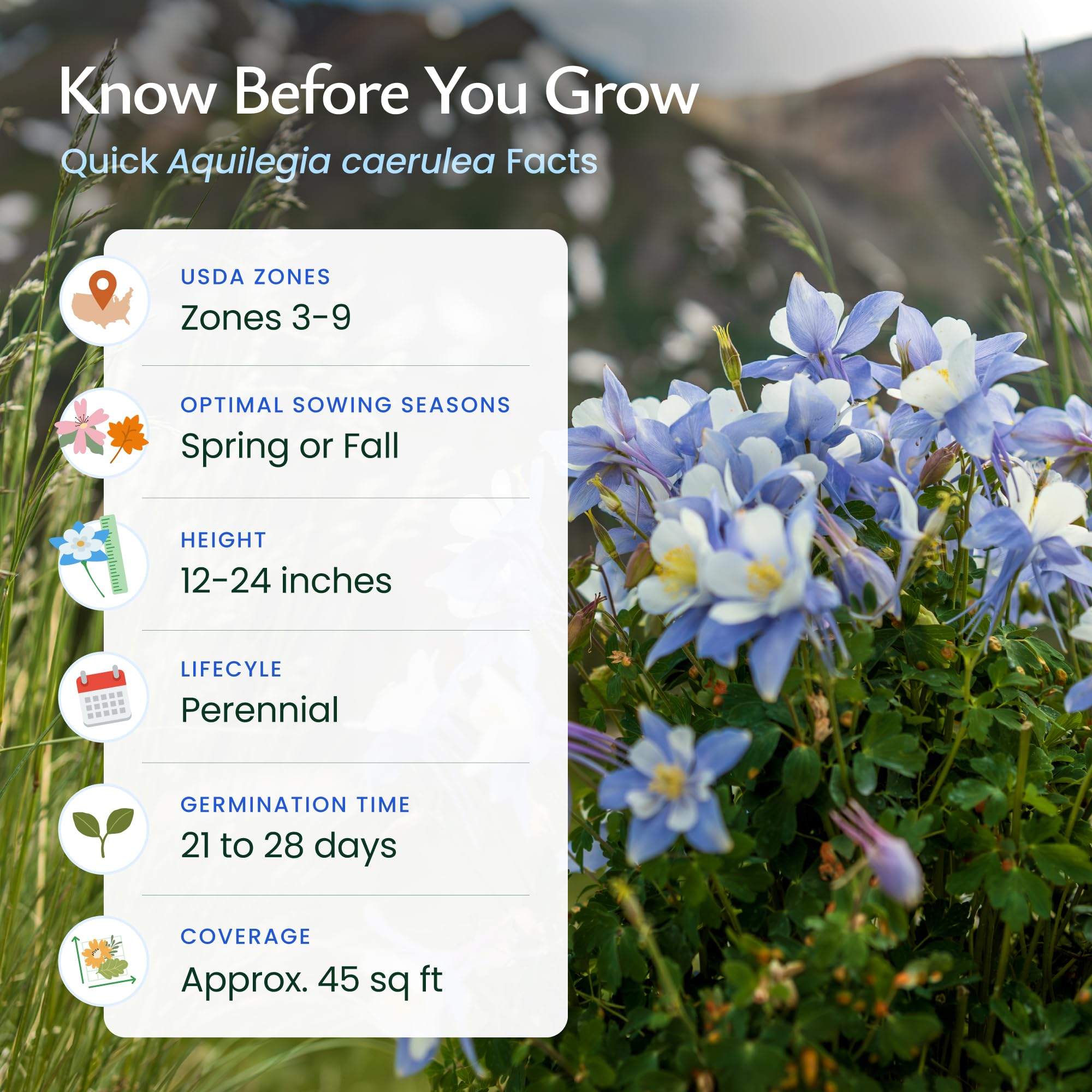 Created By Nature Blue Columbine seeds attract bees, butterflies, and hummingbirds.