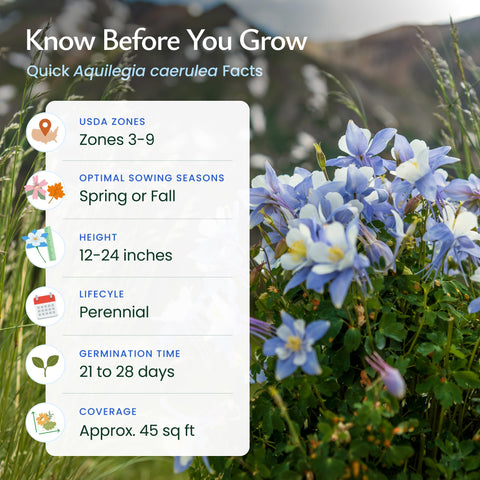 Created By Nature Blue Columbine seeds attract bees, butterflies, and hummingbirds.
