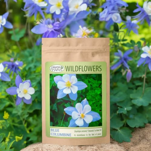 Created By Nature Blue Columbine seeds germinate in 21 days, adding color to spring beds.
