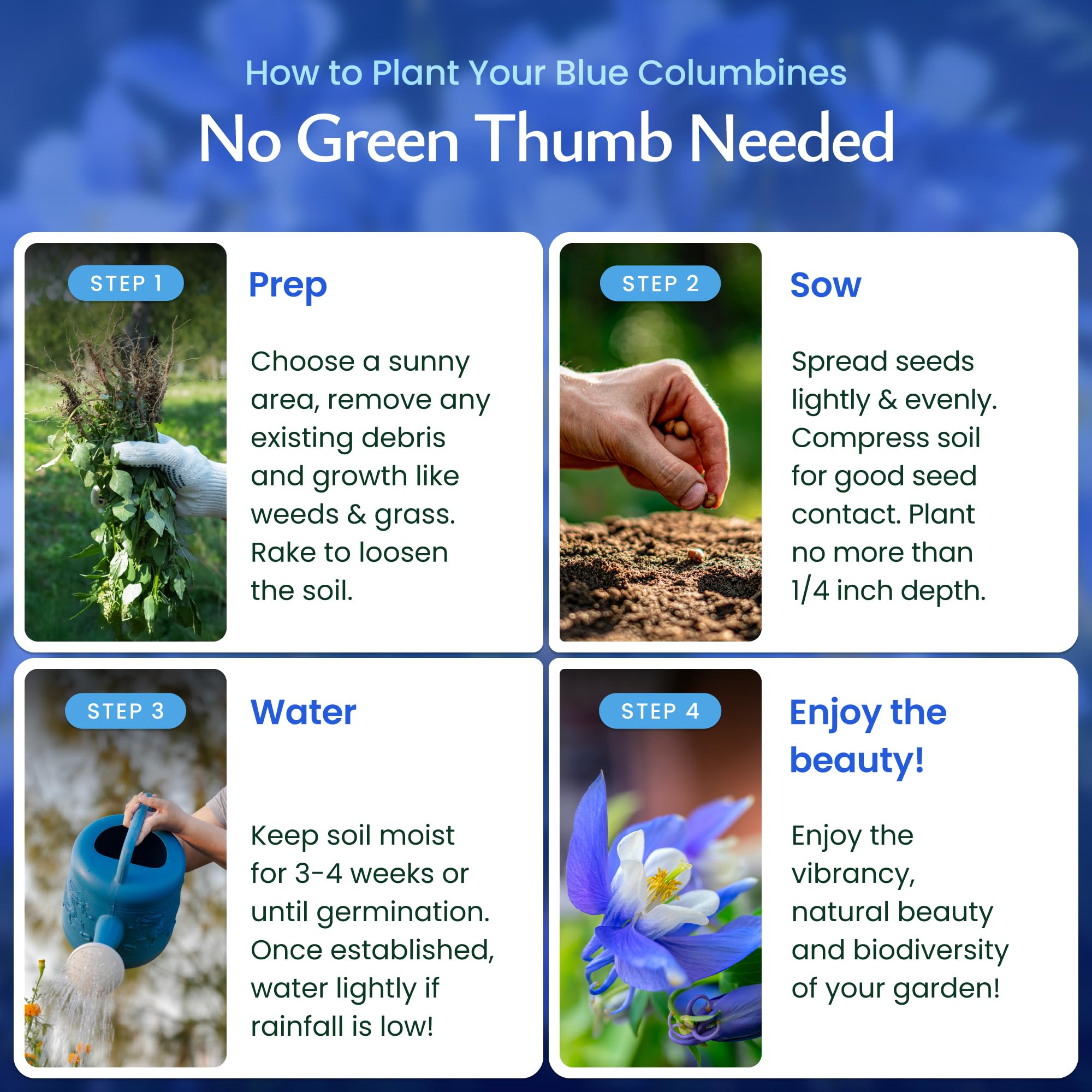 Created By Nature Blue Columbine seeds tolerate dry spells once established.