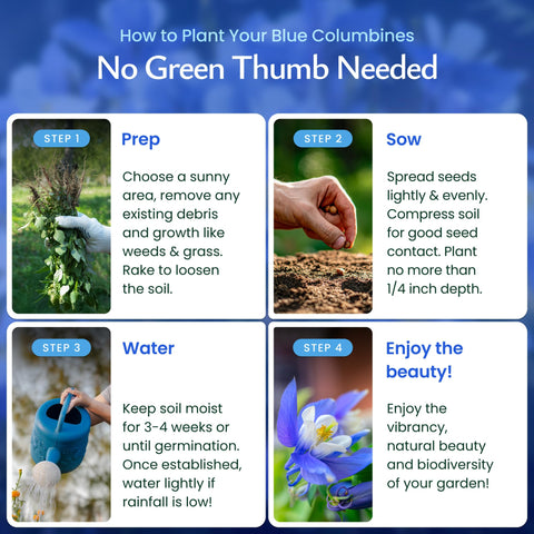 Created By Nature Blue Columbine seeds tolerate dry spells once established.
