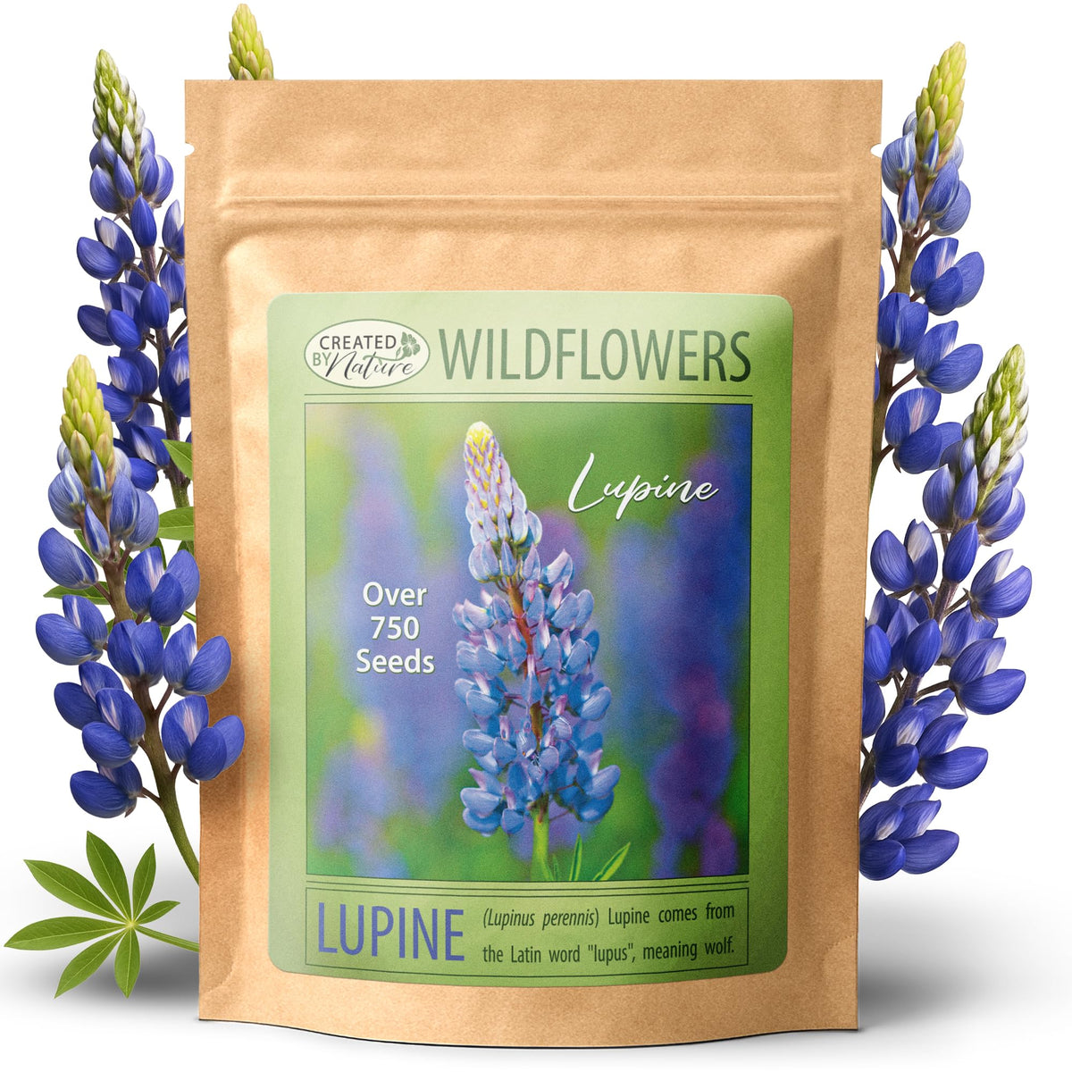 Created By Nature blue lupine seeds blooming in garden beds for added color and biodiversity