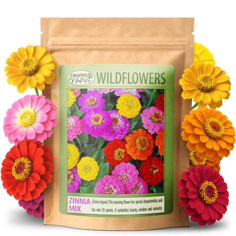 Created By Nature California Giant Zinnia seeds pack ready to enliven borders with bold color.
