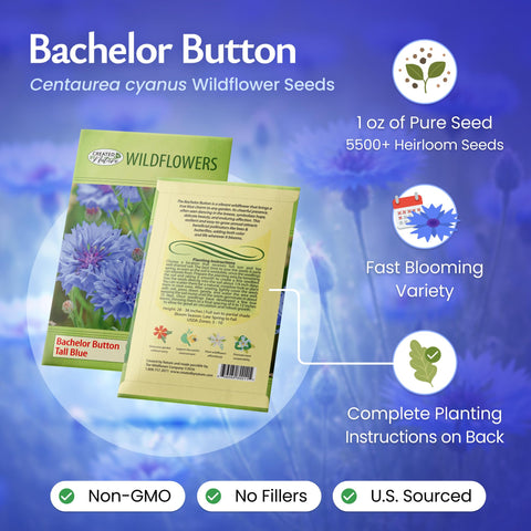 Created By Nature Cornflower seeds tall blue showy blooms for classic borders and meadow plantings.