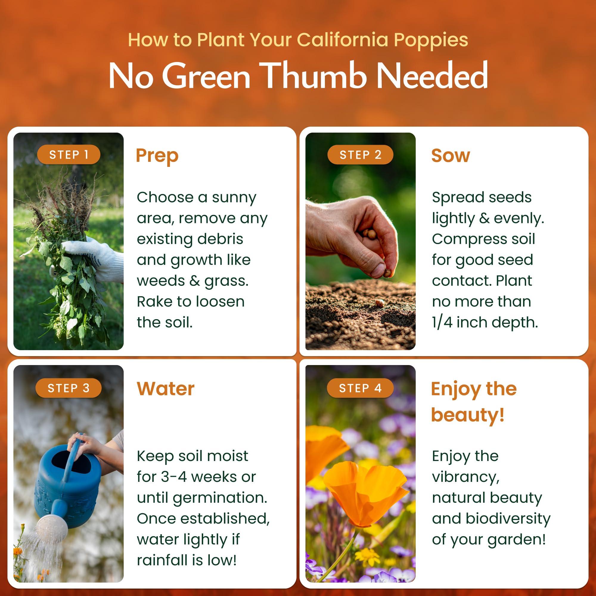 Created By Nature deer-resistant poppies add low-maintenance color