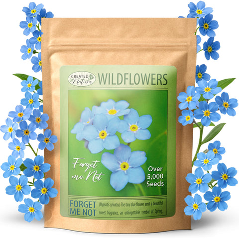 Created By Nature Forget Me Not seeds offer blue blooms for borders that attract pollinators.